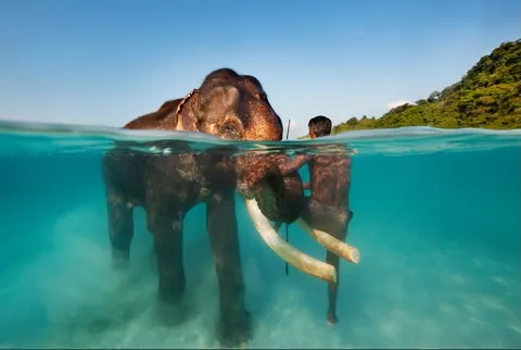 Shallow turquoise water and tropical shoreline at Elephant Beach