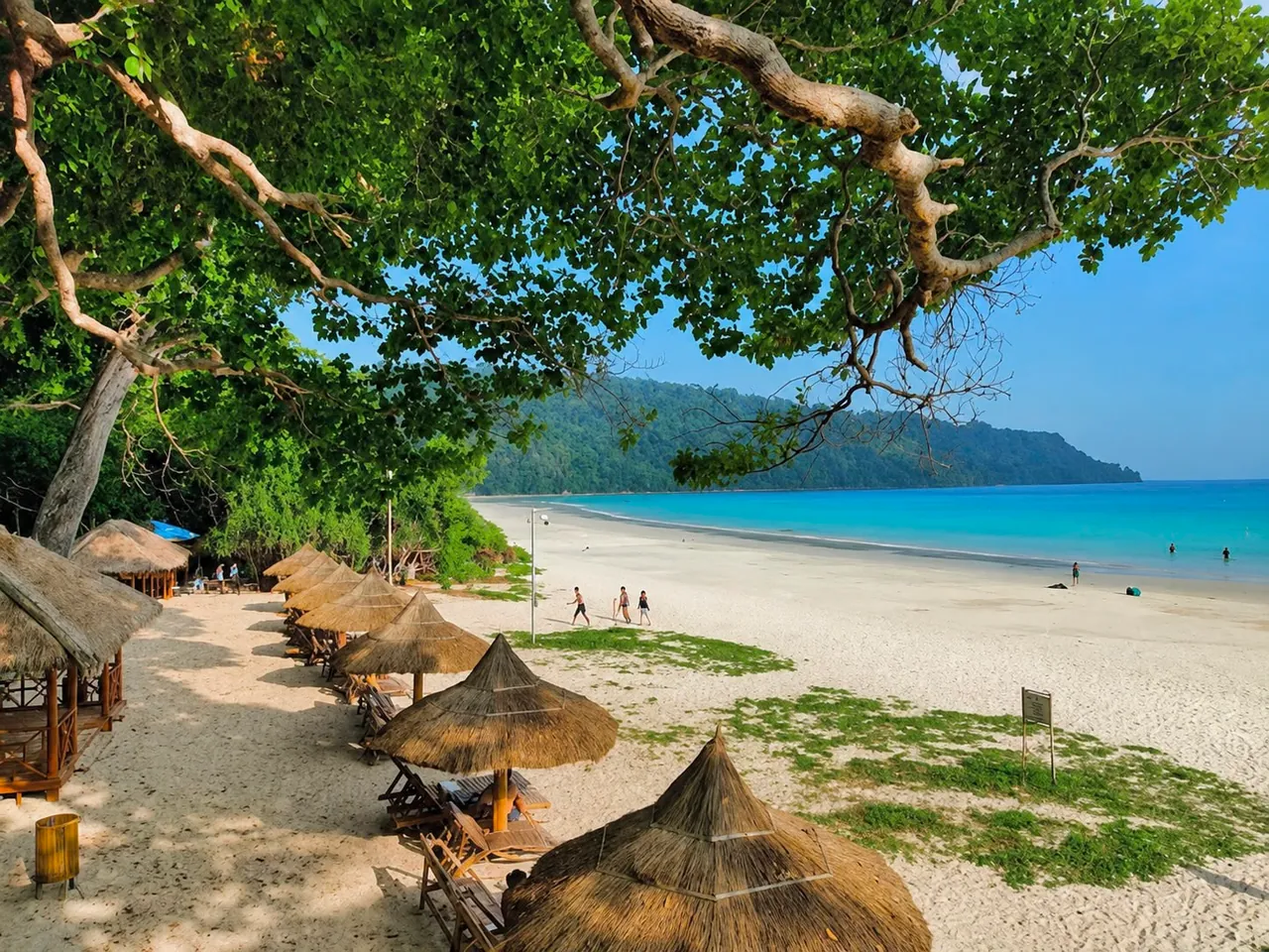 Radhanagar Beach beside dense tropical forest on Swaraj Dweep