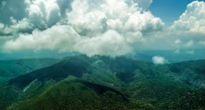 The forested slopes of Saddle Peak in North Andaman