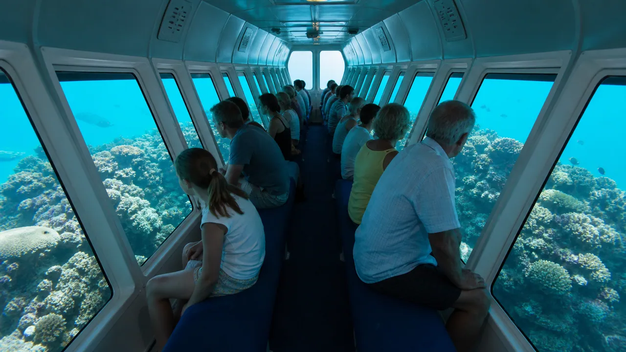 Guests viewing coral through a semi-submarine observation cabin