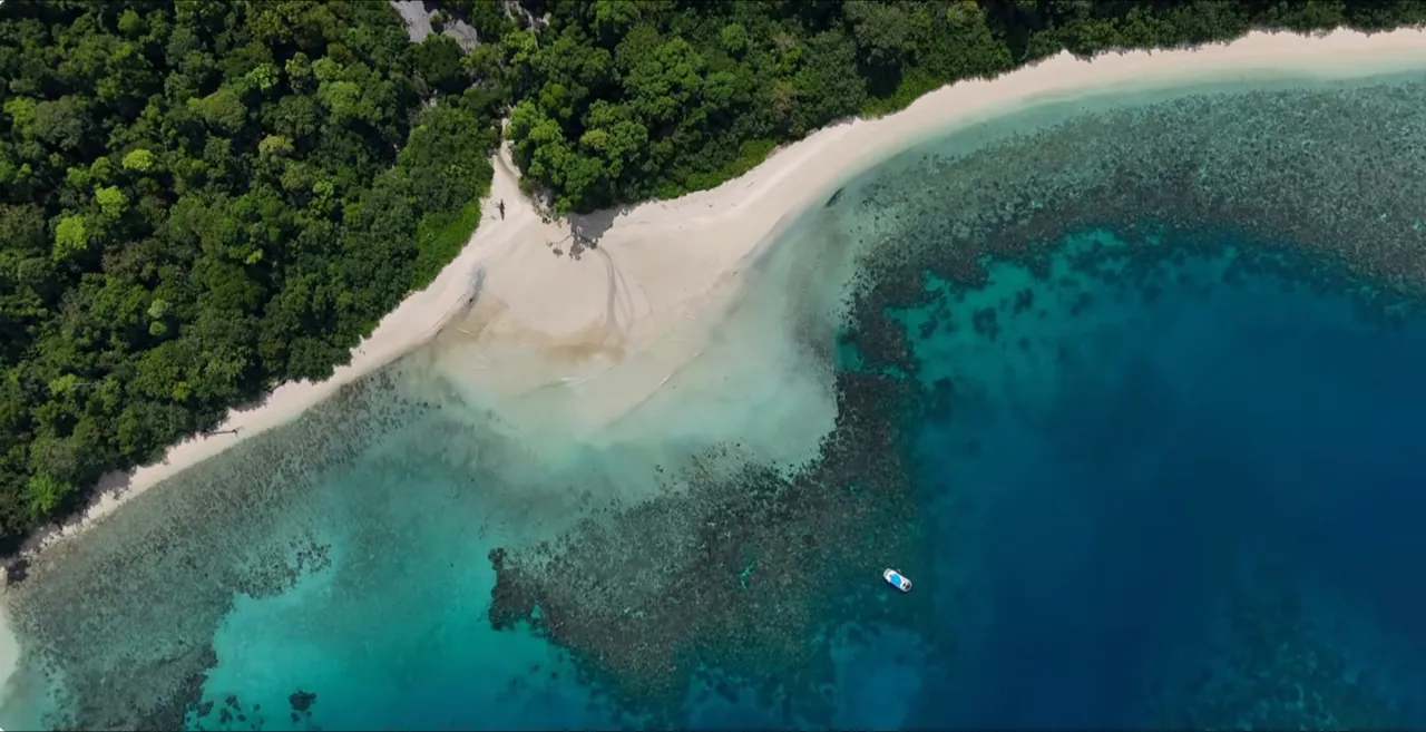 An aerial view of the green coastline and clear water of Swaraj Dweep